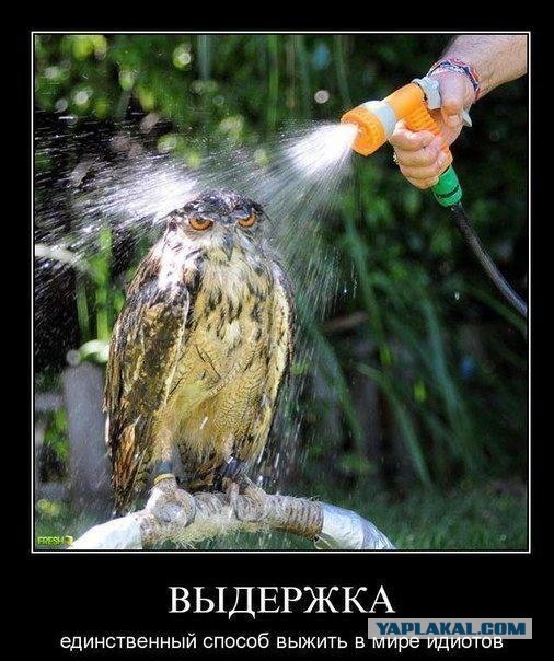 Позитивные картинки