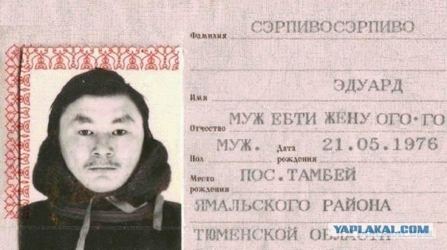 Когда папа любит пиво...
