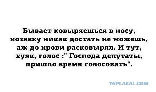 Комментарии из соцсетей, картинки