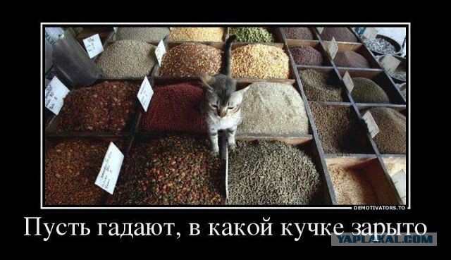 Веселые картинки