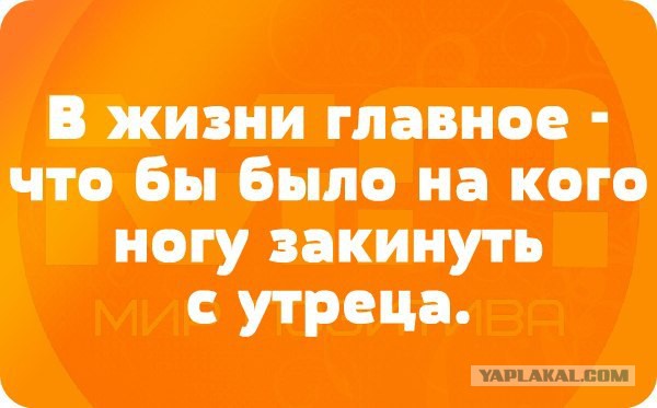 Весёлое из сети