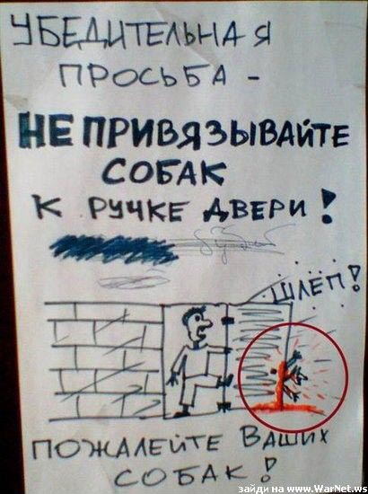 Только у нас в России