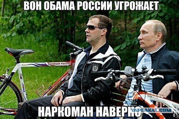 Прикольные картинки из сети