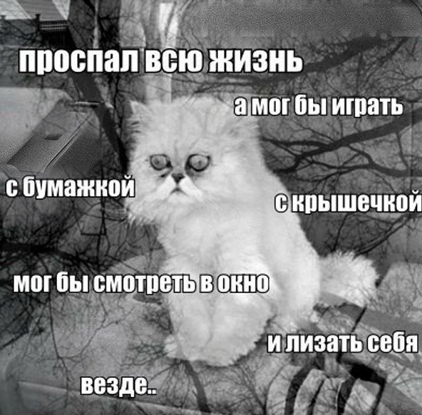 Минутка шизофрении