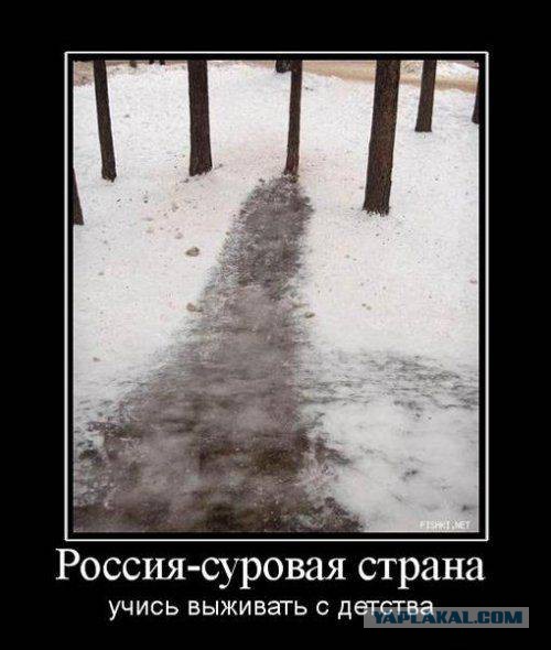 41 веселая картинка