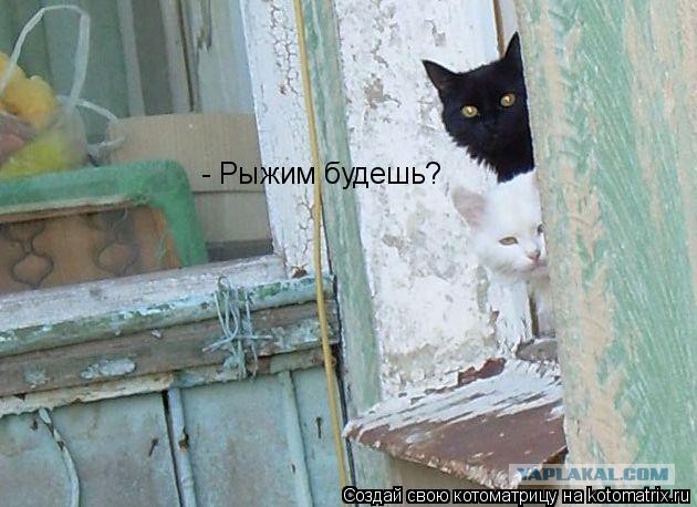 Ку-ку, ёпта!