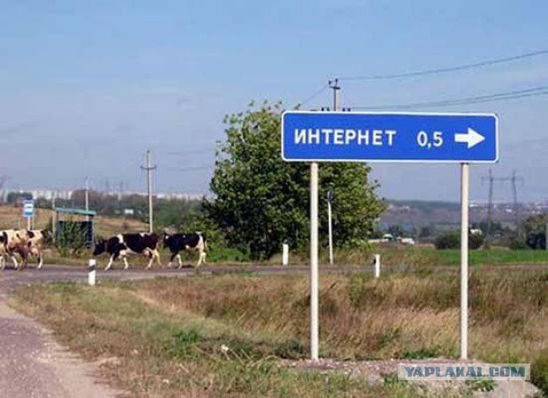 Народные перлы