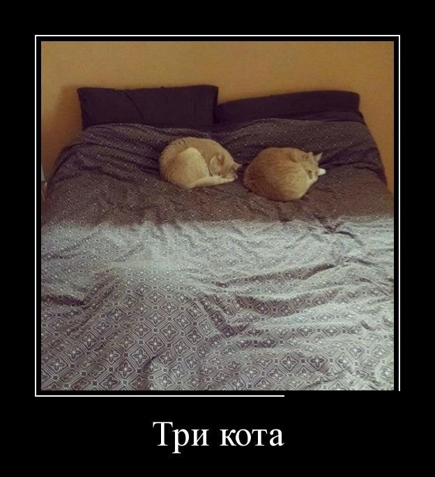 Картинки