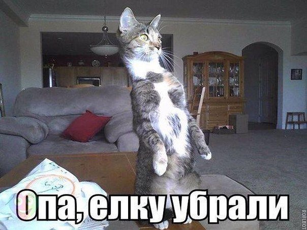 Всяко - разно...картинки