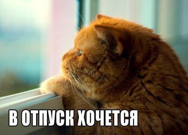 Подборка картинок из сети
