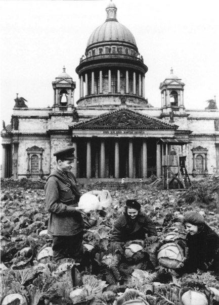 История в лицах