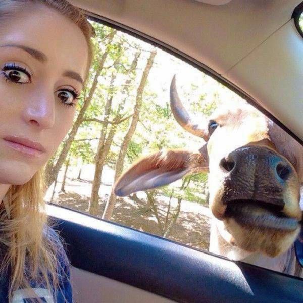 Подборка интересных и веселых фото