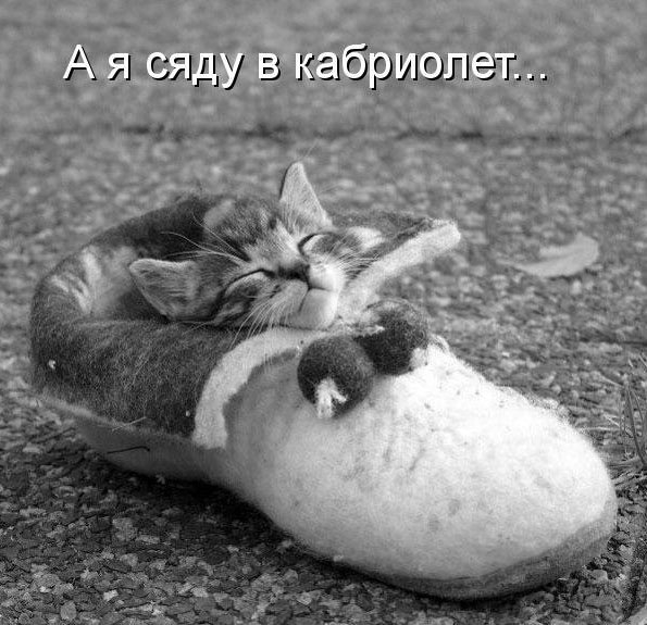 Комментарии, подписи, текстовые приколы