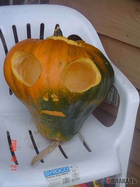 ХЭЛОУИН. Празднуем Halloween