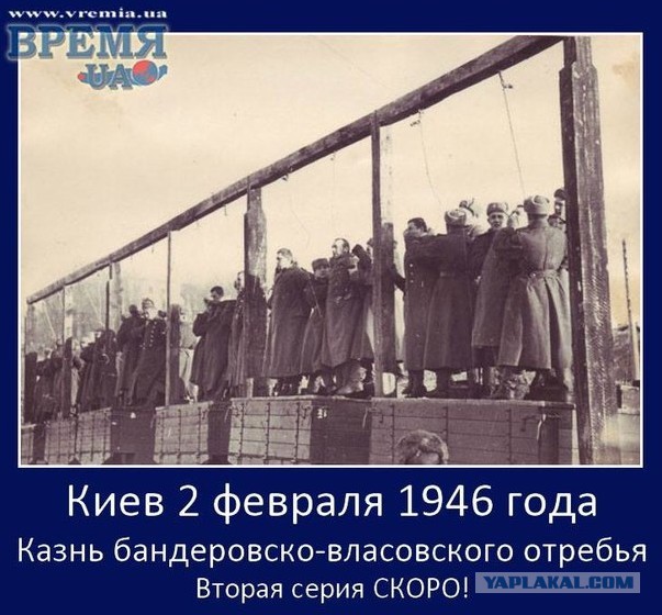 Моторола ранен