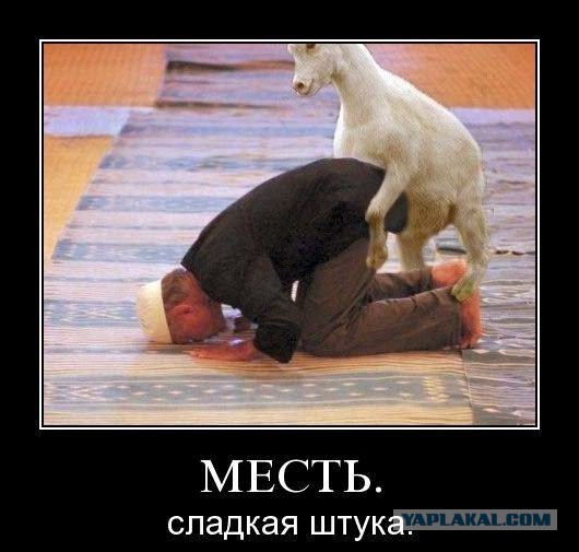 Шуточки от весёлого повара