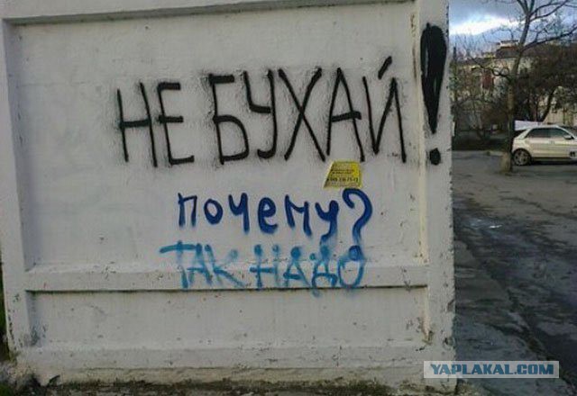 О вреде алкоголя или чего вам, мужикам надо?