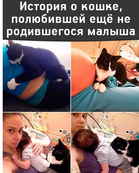 Фотограммы #да ты упоротый штоле? #немншк