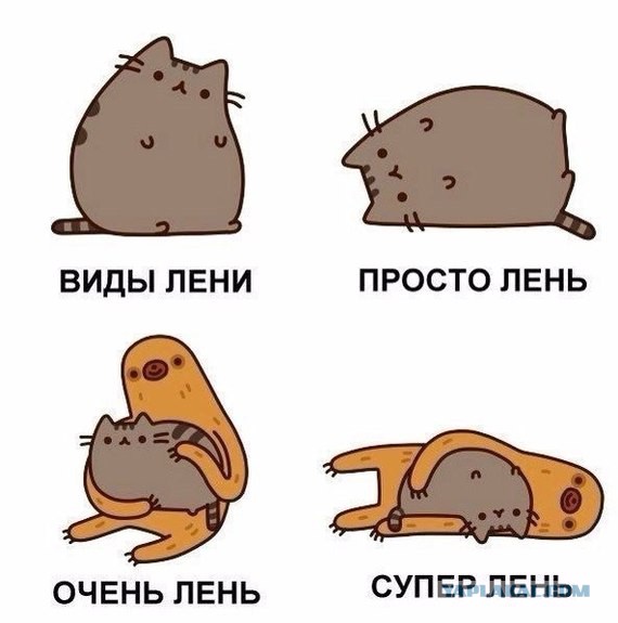 Упражнения для спины