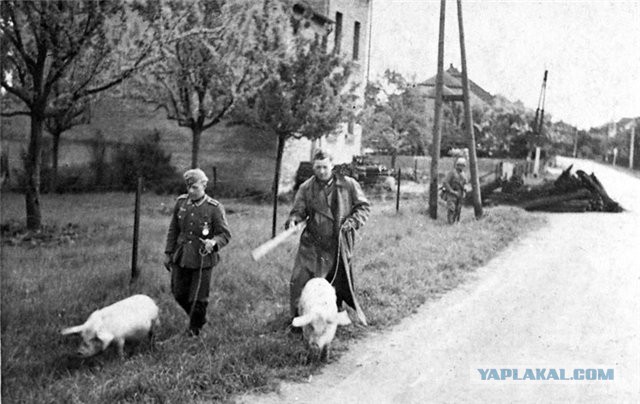 Фотографии к "Нахальному минированию" и "Лехе"