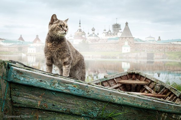 Фото интересные и не только