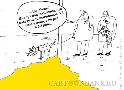 Такое время — страшно за собак