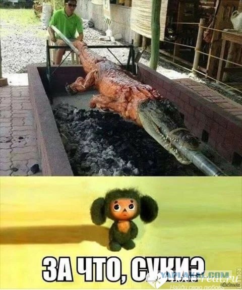 Подборка интересных и веселых картинок