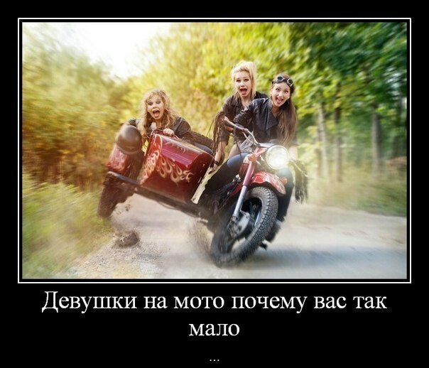 Подборка безудержного веселья
