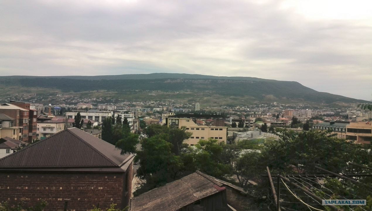 Гастроном Тарки Тау
