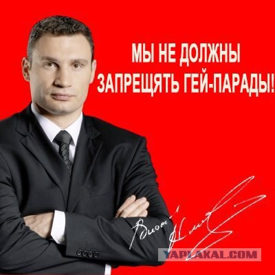 Более 80% россиян одобряют работу Путина