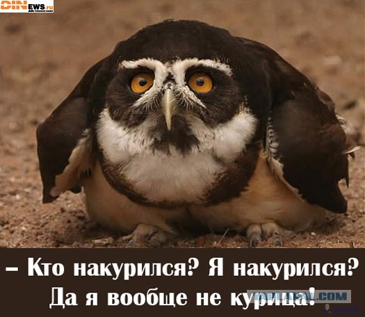 Яжнеотец