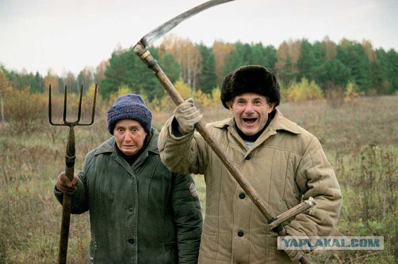 Нефтяники больше не хотят сдерживать рост цен на бензин