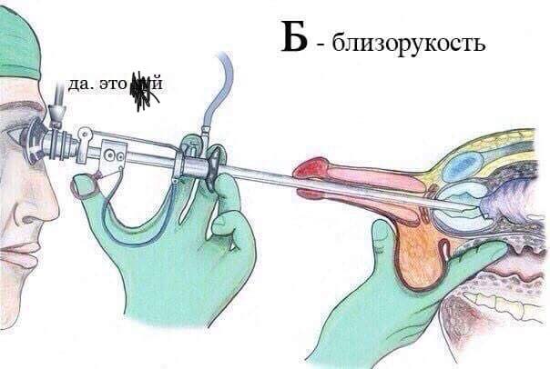 Ударим медицинской деградацией по урологии и ветеринарии!
