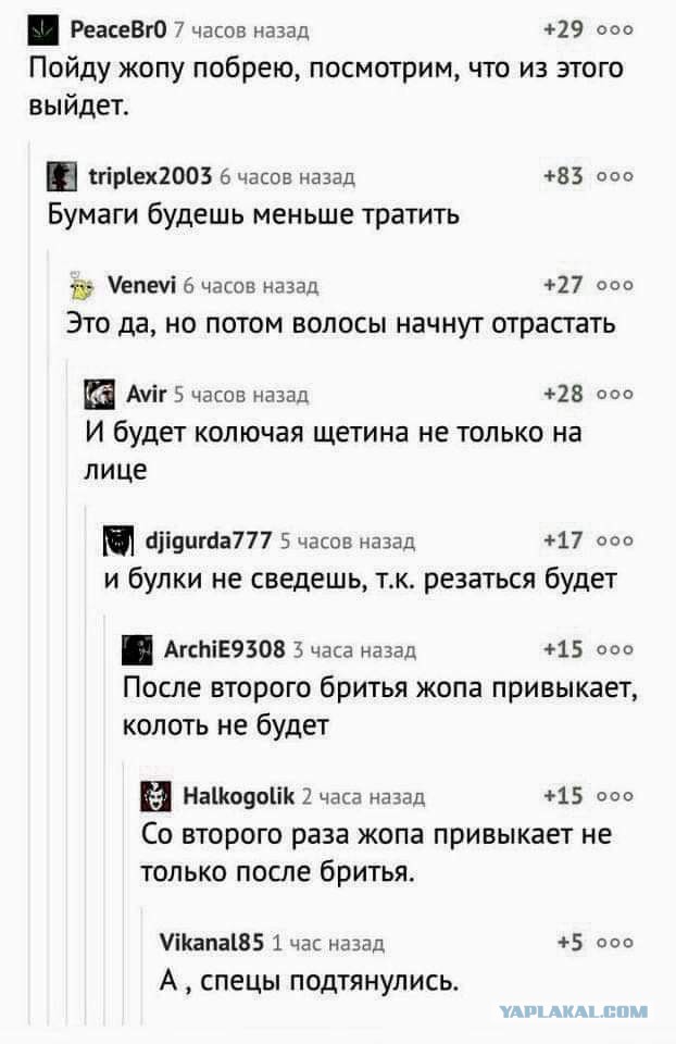Кривые зеркала