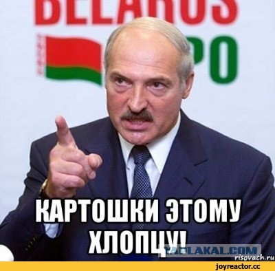 Картинки