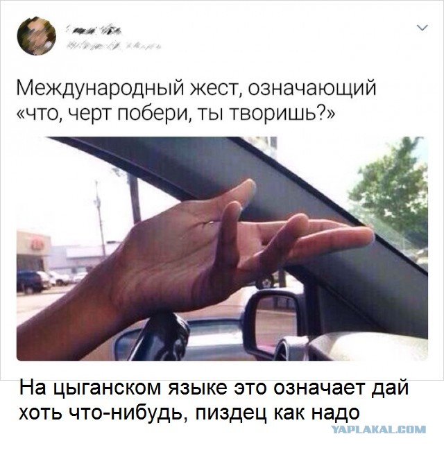 Комментарии от пользователей сети, о чувство юмора которых можно порезаться