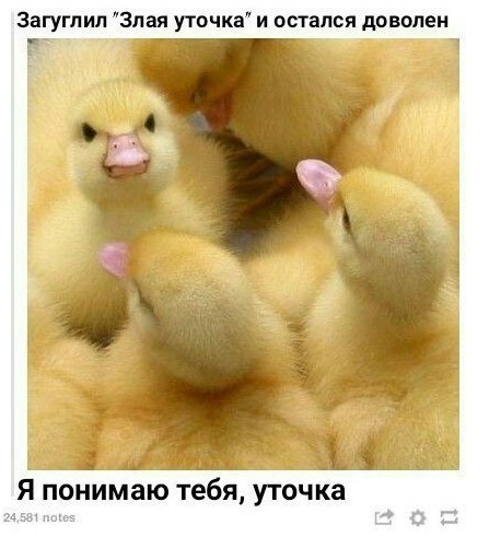 Немного картинок для настроения 27.01.20