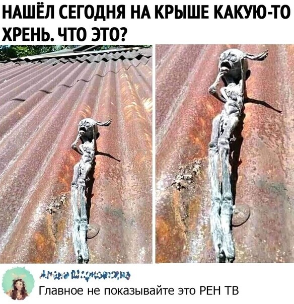 Сублимация