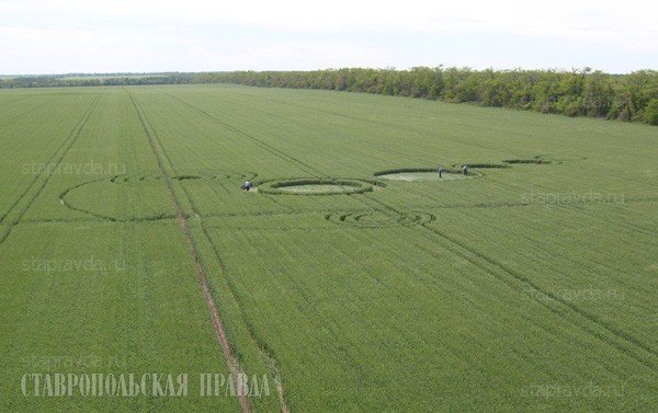 Загадочные фигуры на поле возле Краснодара