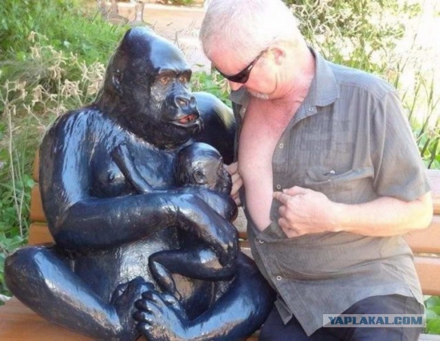 Я просто весёлый человек