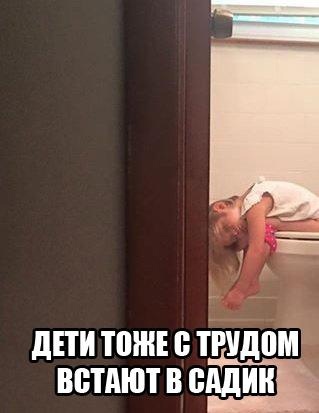 Так себе картинки 23.08.21