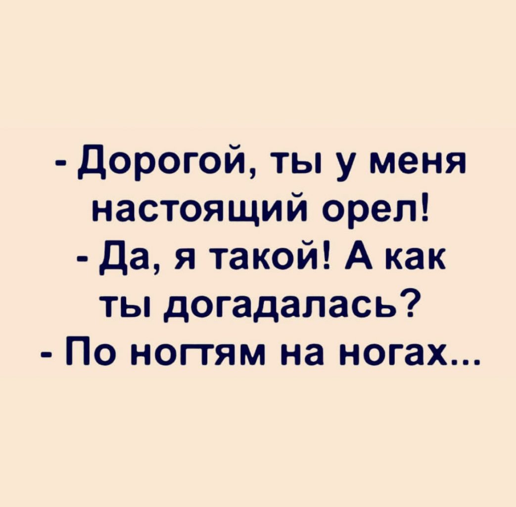 16022828.jpg