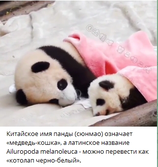 Немного интересных фактов