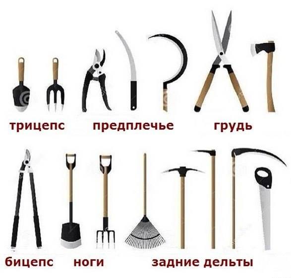 Всяческие картинки 12.01.2022