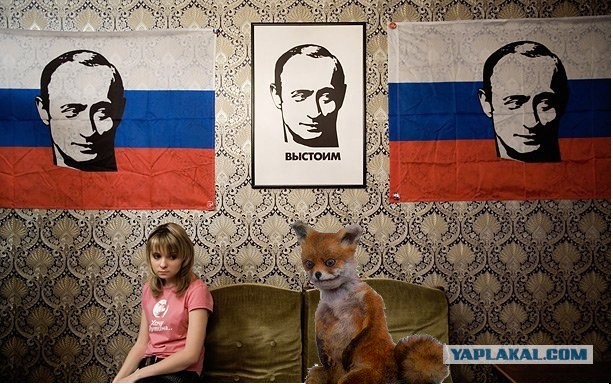 В России никогда не будет платного образования