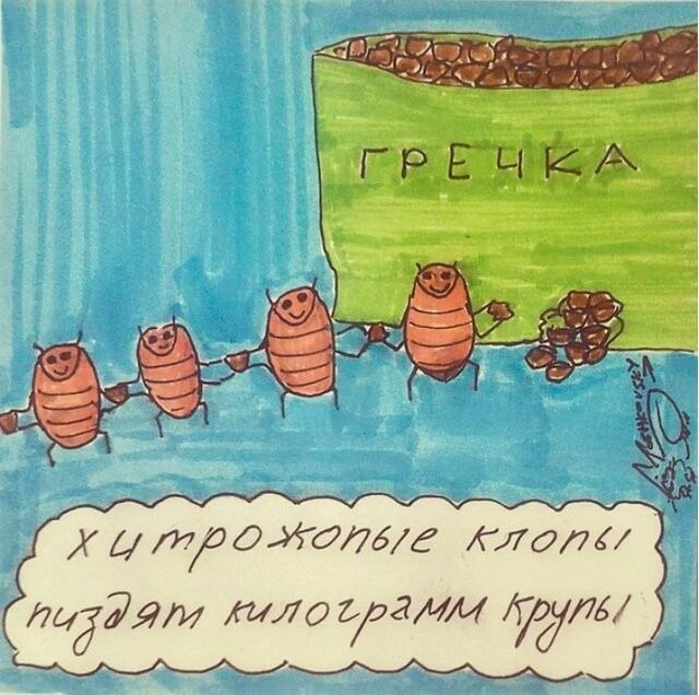 Клопы в доме. Нужны одекватные советы