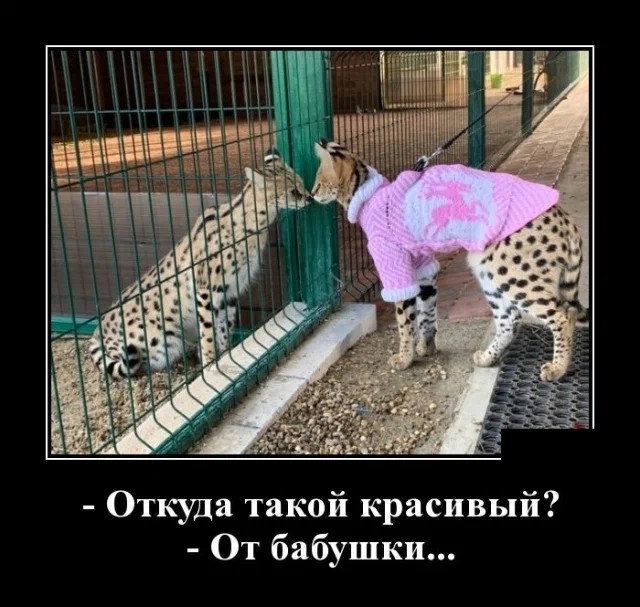 Картинки с надписями 9.08.22