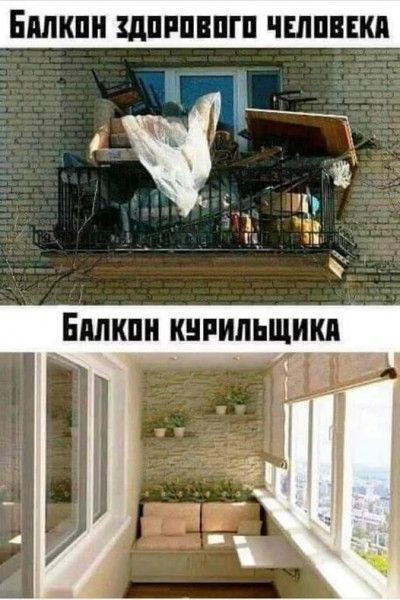 Так себе картинки 17.10.22