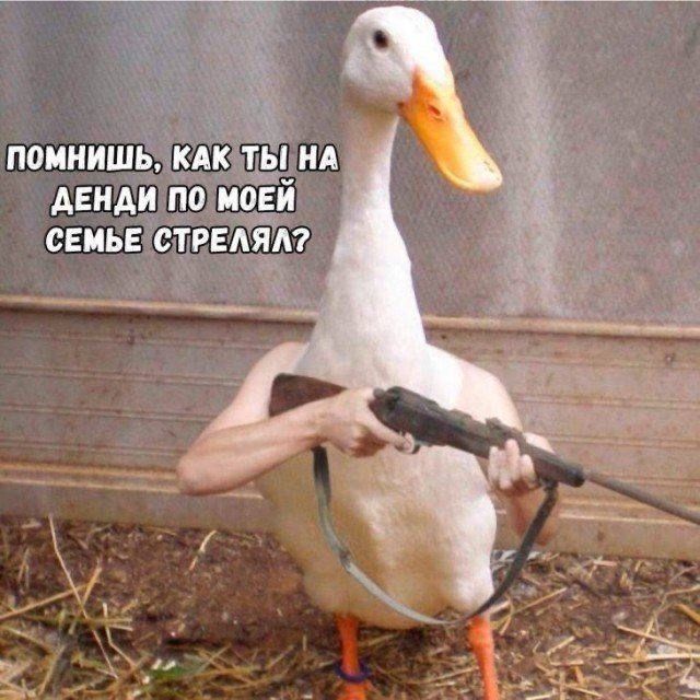 Денди: Веселые и ностальгические картинки