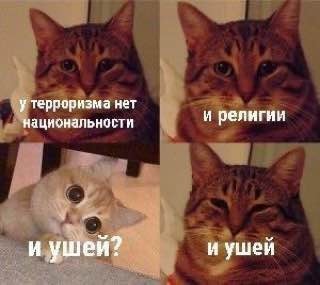 Нож из "алмазной" стали
